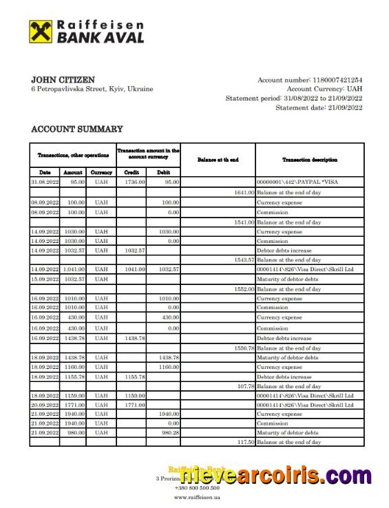 Ukraine Raiffeisen Bank statement